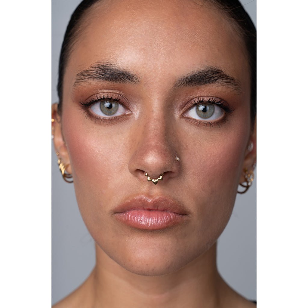 Titanium Chrome Hearts Segment Ring - SkinKandy | Body Jewellery & Piercing Online Australia