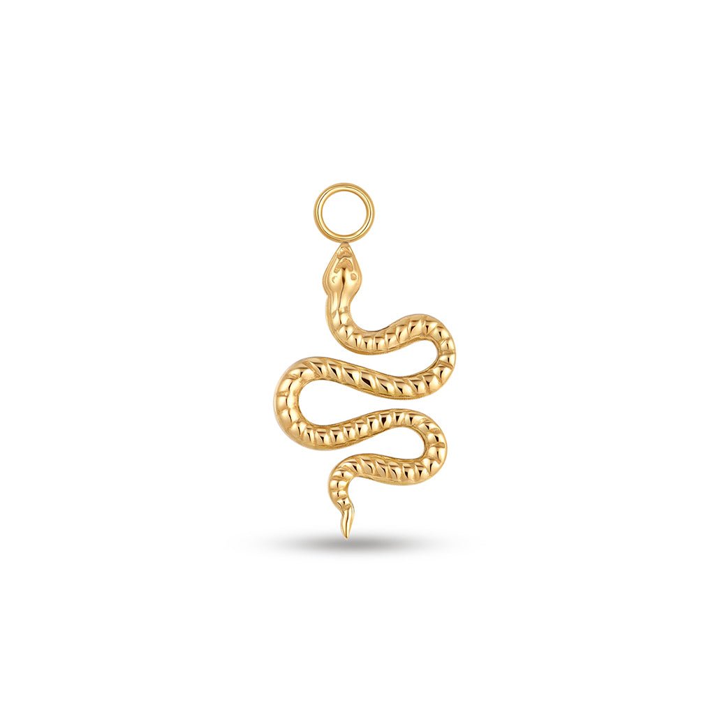 Image for Ribbed Snake Charm