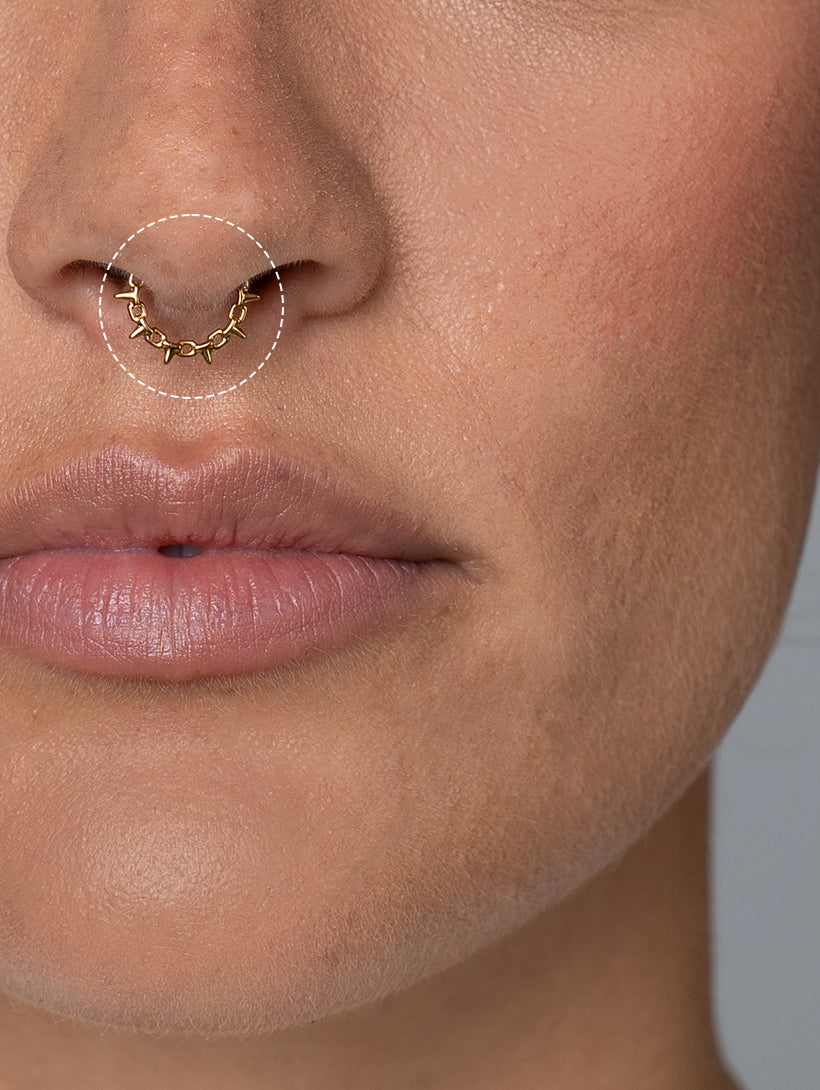 Septum