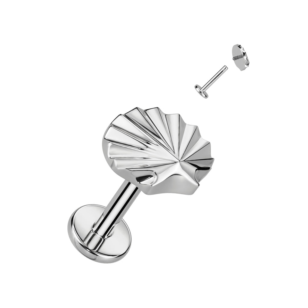 Sea Shell Titanium Internally Threaded Labret - SkinKandy | Body Jewellery & Piercing Online Australia