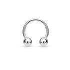 Titanium Horseshoe