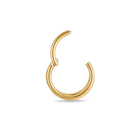 Titanium Double Hoop Nose Ring