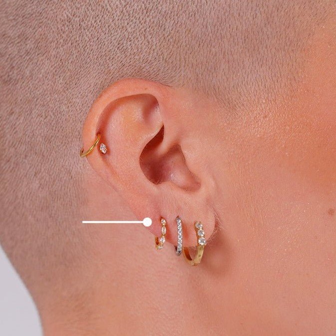 Titanium Marquis Segment Rings with Cubic Zirconia - Pair - SkinKandy | Body Jewellery & Piercing Online Australia