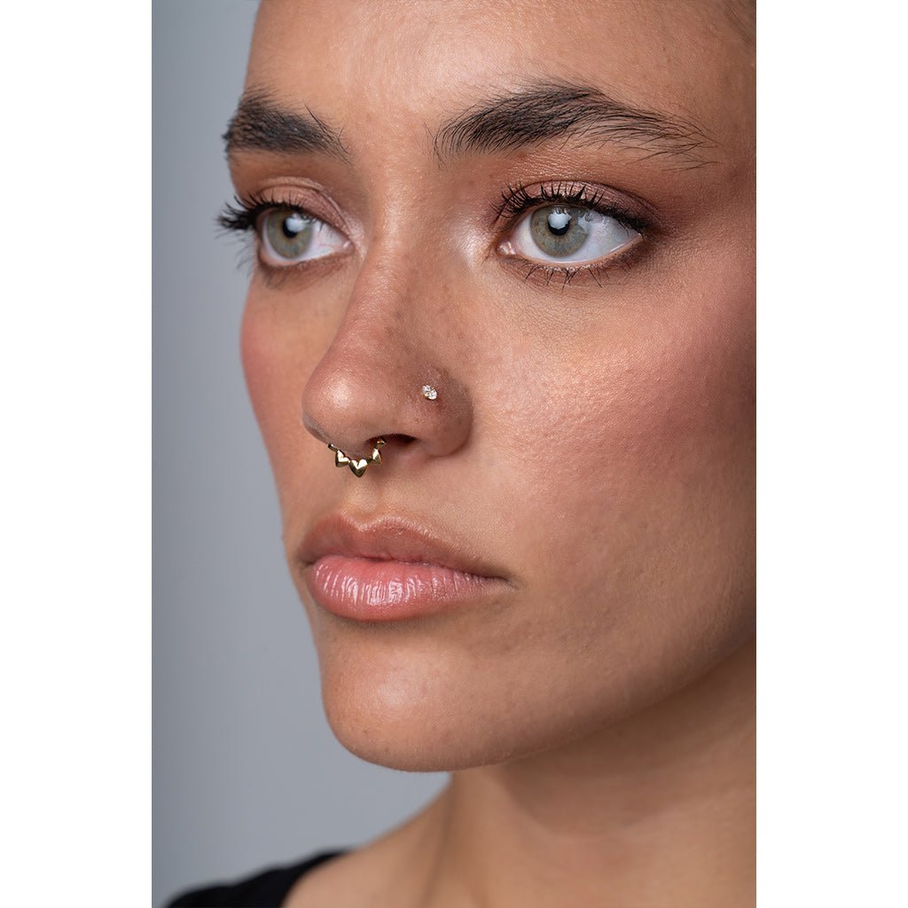 Titanium Chrome Hearts Segment Ring - SkinKandy | Body Jewellery & Piercing Online Australia