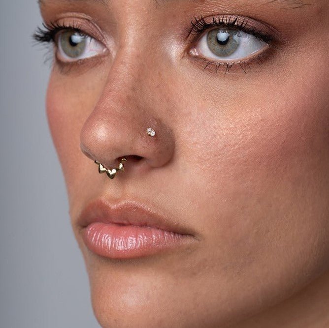 Titanium Chrome Hearts Segment Ring - SkinKandy | Body Jewellery & Piercing Online Australia