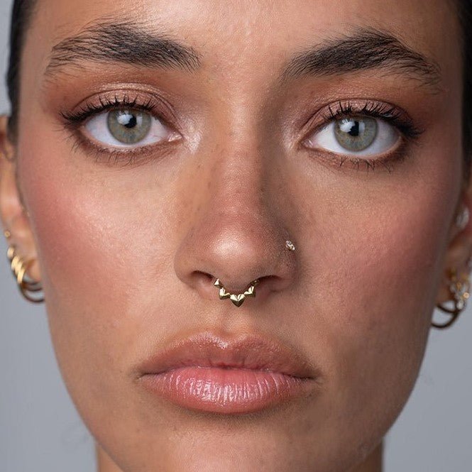 Titanium Chrome Hearts Segment Ring - SkinKandy | Body Jewellery & Piercing Online Australia