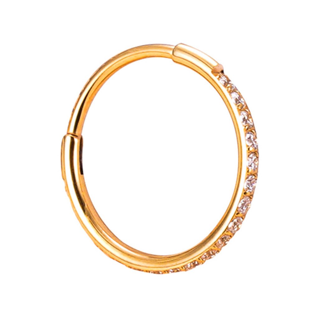 Titanium Outward - Facing Segment Ring with Cubic Zirconia - SkinKandy | Body Jewellery & Piercing Online Australia