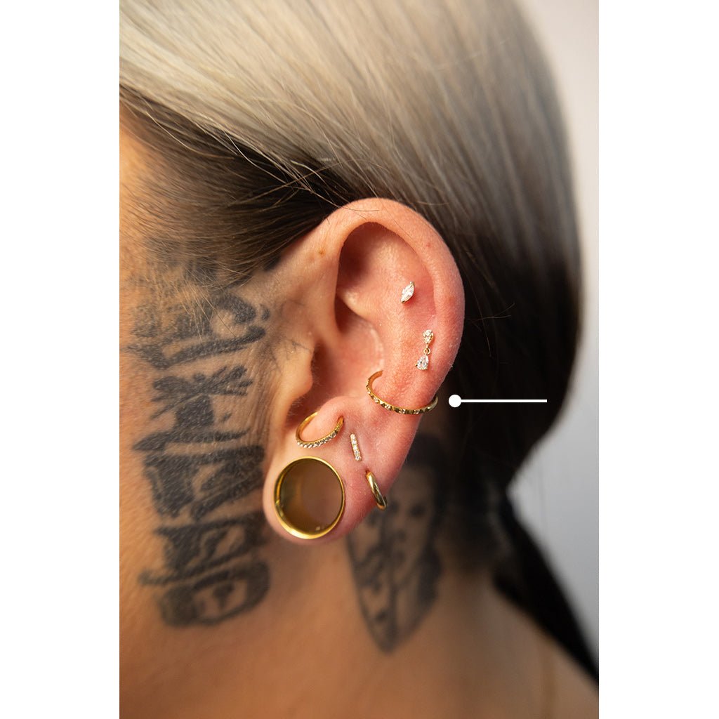 Titanium Segment Ring Prism Hinged CZ Paved - SkinKandy | Body Jewellery & Piercing Online Australia