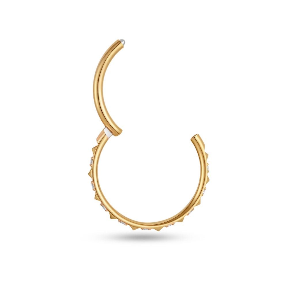 Titanium Segment Ring Prism Hinged CZ Paved - SkinKandy | Body Jewellery & Piercing Online Australia