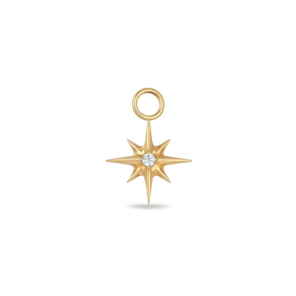 Titanium Guiding Star Cubic Zirconia Earring Charm - SkinKandy | Body Jewellery & Piercing Online Australia