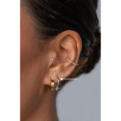 Surgical Steel Segment Rings with Round Dangle Micro Paved Cubic Zirconia - Pair