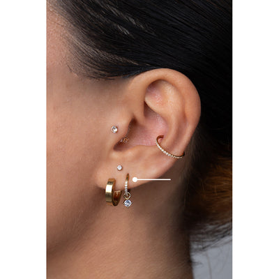 Surgical Steel Segment Rings with Round Dangle Micro Paved Cubic Zirconia - Pair