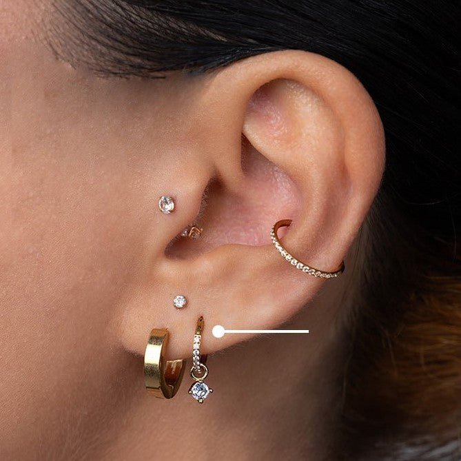 Surgical Steel Segment Rings with Round Dangle Micro Paved Cubic Zirconia - Pair - SkinKandy | Body Jewellery & Piercing Online Australia