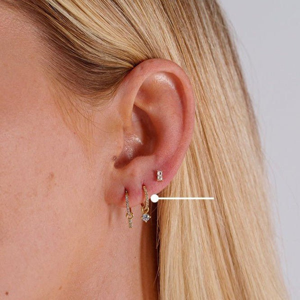 Surgical Steel Segment Rings with Round Dangle Micro Paved Cubic Zirconia - Pair