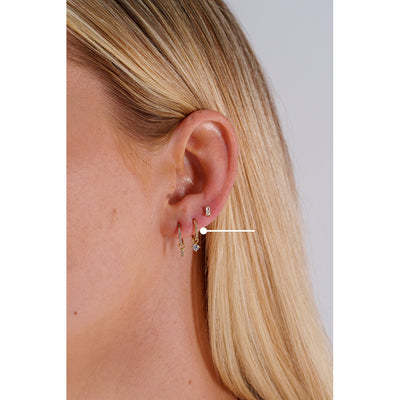 Surgical Steel Segment Rings with Round Dangle Micro Paved Cubic Zirconia - Pair
