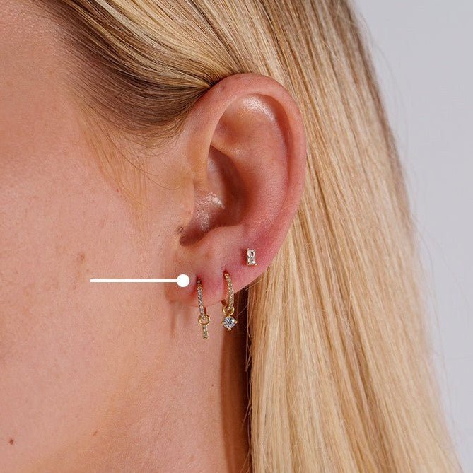 Surgical Steel Segment Rings with Rectangle Dangle Micro Paved Cubic Zirconia - Pair - SkinKandy | Body Jewellery & Piercing Online Australia