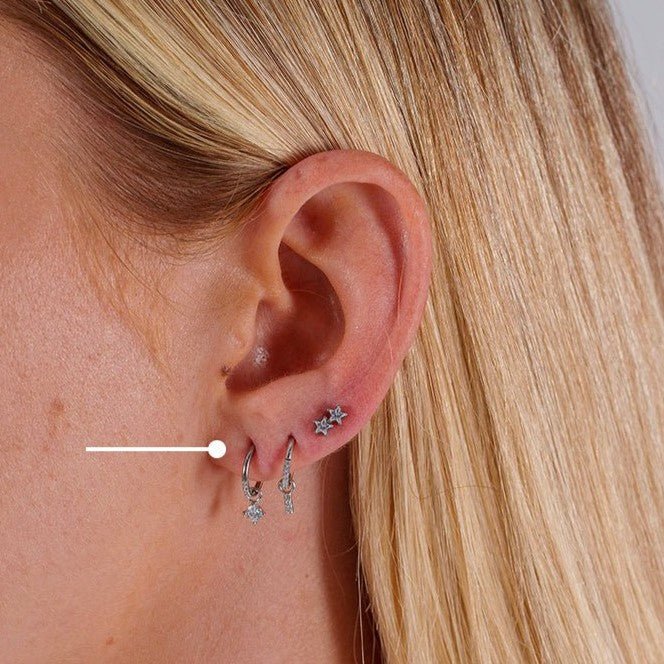 Surgical Steel Segment Rings with Round Dangle Micro Paved Cubic Zirconia - Pair - SkinKandy | Body Jewellery & Piercing Online Australia