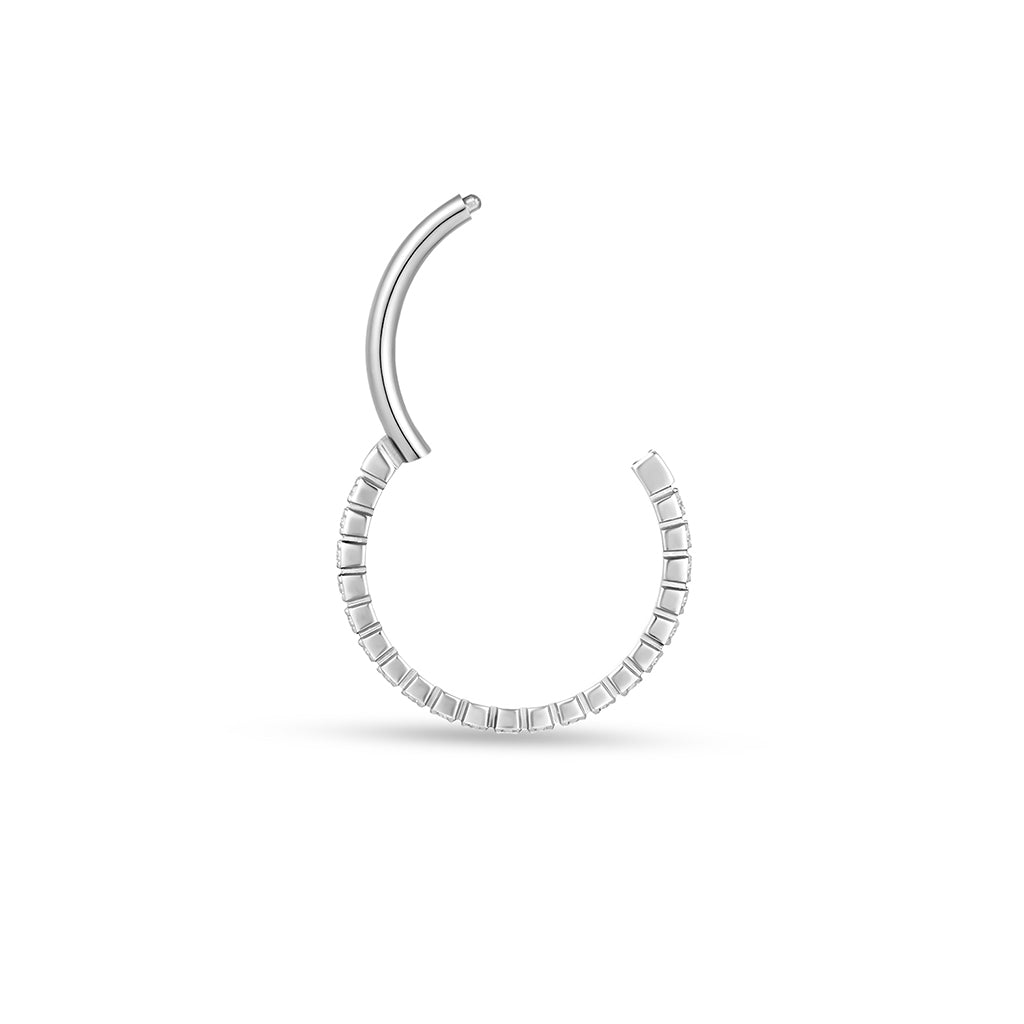 Titanium Segment Ring with Micro Tennis Set Cubic Zirconia - SkinKandy | Body Jewellery & Piercing Online Australia