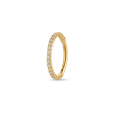 Titanium Segment Ring with Micro Tennis Set Cubic Zirconia