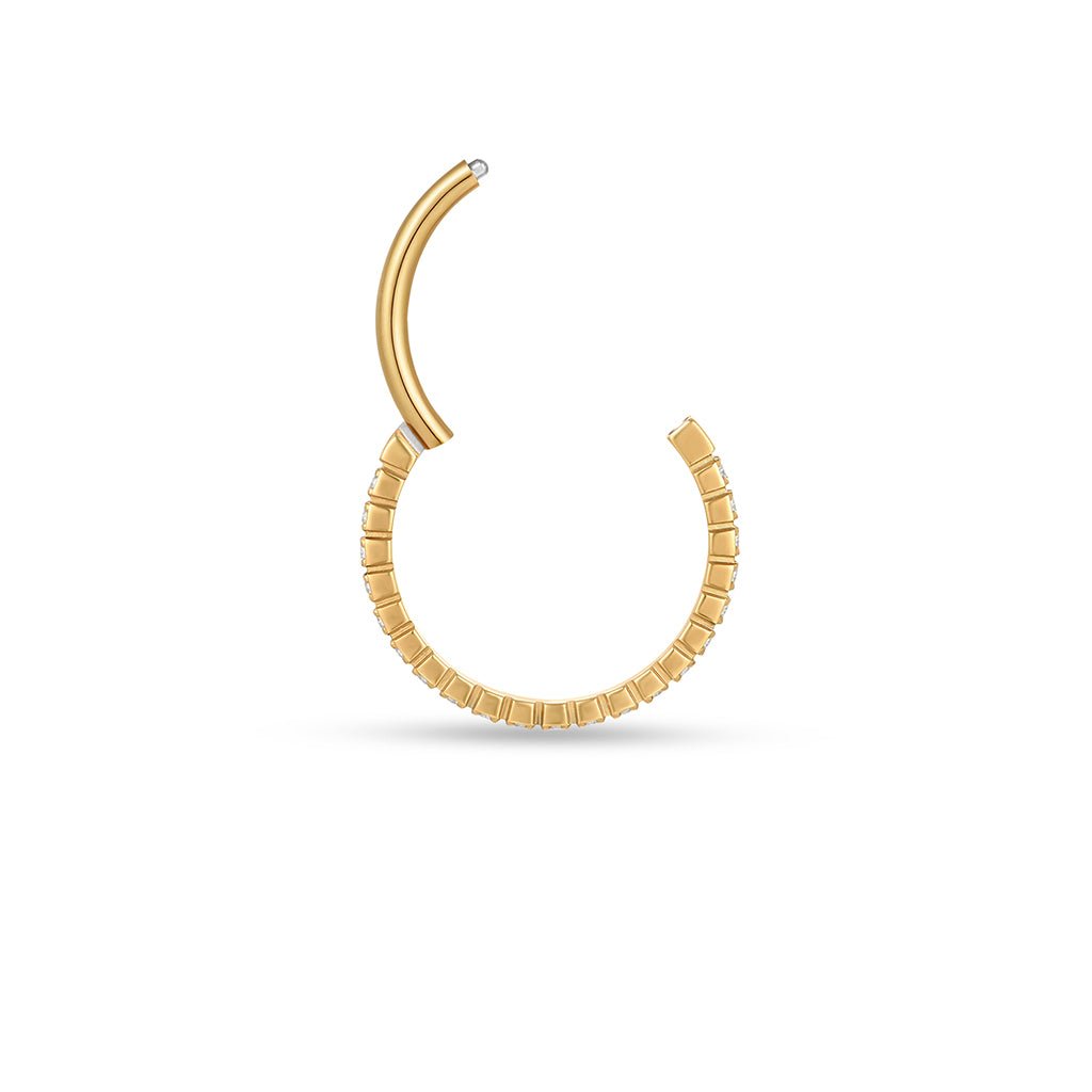 Titanium Segment Ring with Micro Tennis Set Cubic Zirconia - SkinKandy | Body Jewellery & Piercing Online Australia