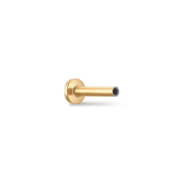 Implant Grade Titanium Guided Internally Threaded Post Piercing
