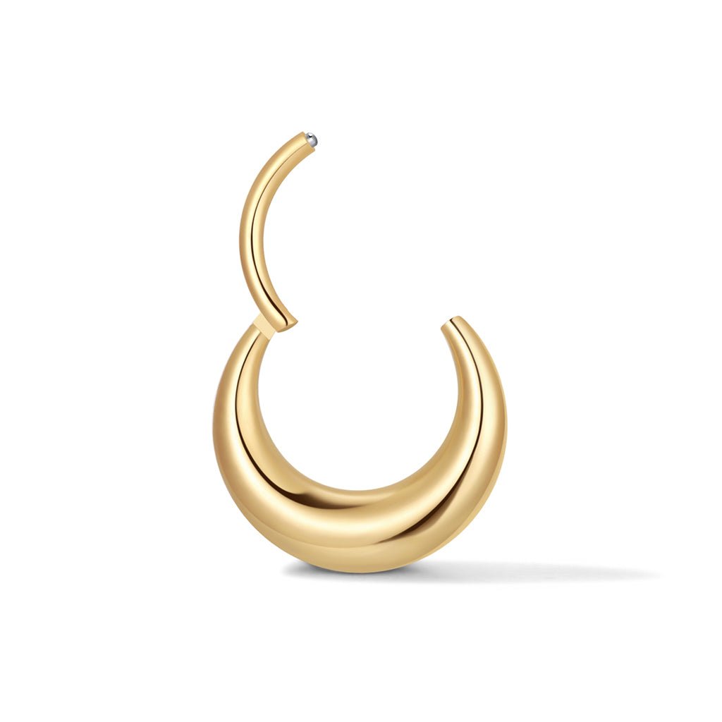 Titanium Flattened Disc Segment Ring - SkinKandy | Body Jewellery & Piercing Online Australia