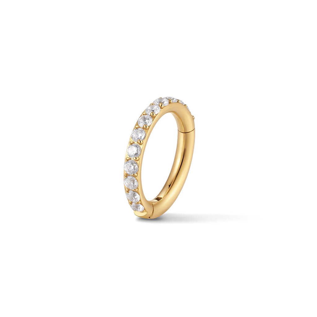Titanium Round Cubic Zirconia Segment Ring - SkinKandy | Body Jewellery & Piercing Online Australia