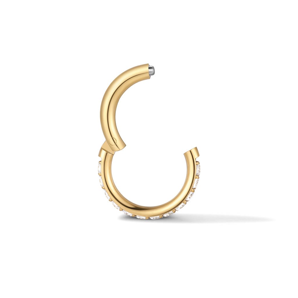 Titanium Round Cubic Zirconia Segment Ring - SkinKandy | Body Jewellery & Piercing Online Australia