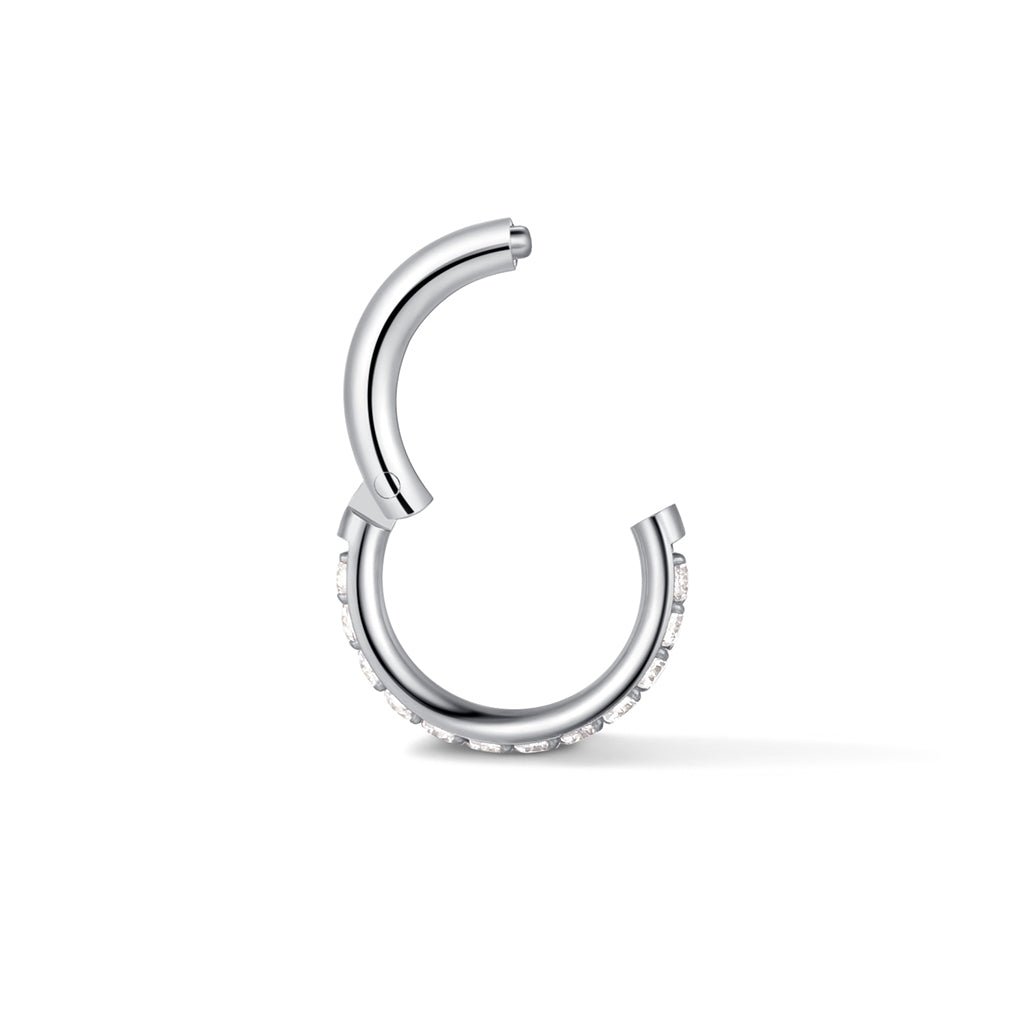 Titanium Round Cubic Zirconia Segment Ring - SkinKandy | Body Jewellery & Piercing Online Australia