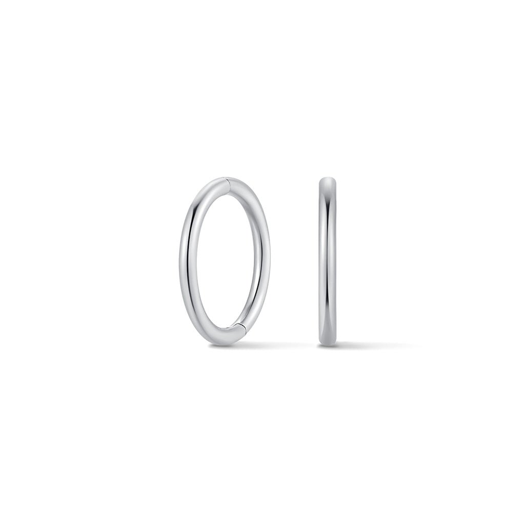 Silver-tone titanium sleeper hoop on white background