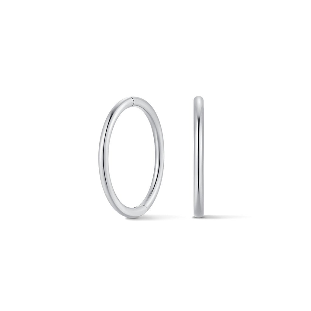 Silver-tone titanium sleeper hoop on white background