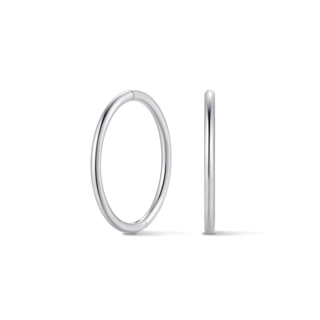 Silver-tone titanium sleeper hoop on white background