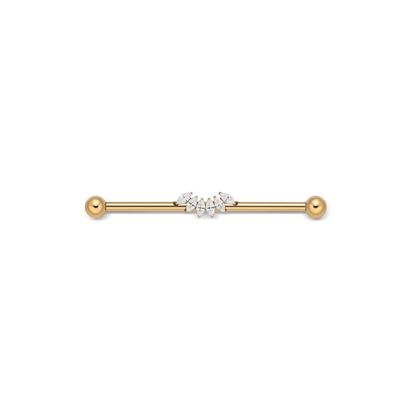 Titanium Internally Threaded 6 Marquis Fan Cubic Zirconia Industrial Barbell