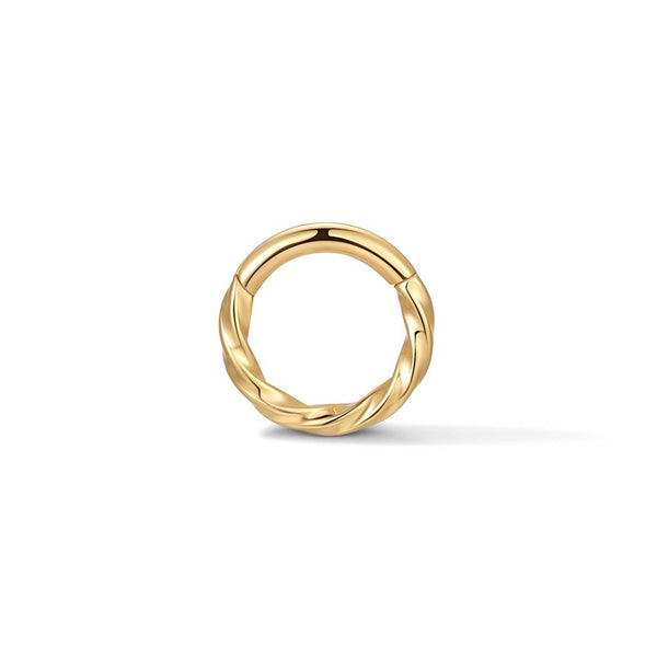 Titanium Twisted Cord Segment Ring