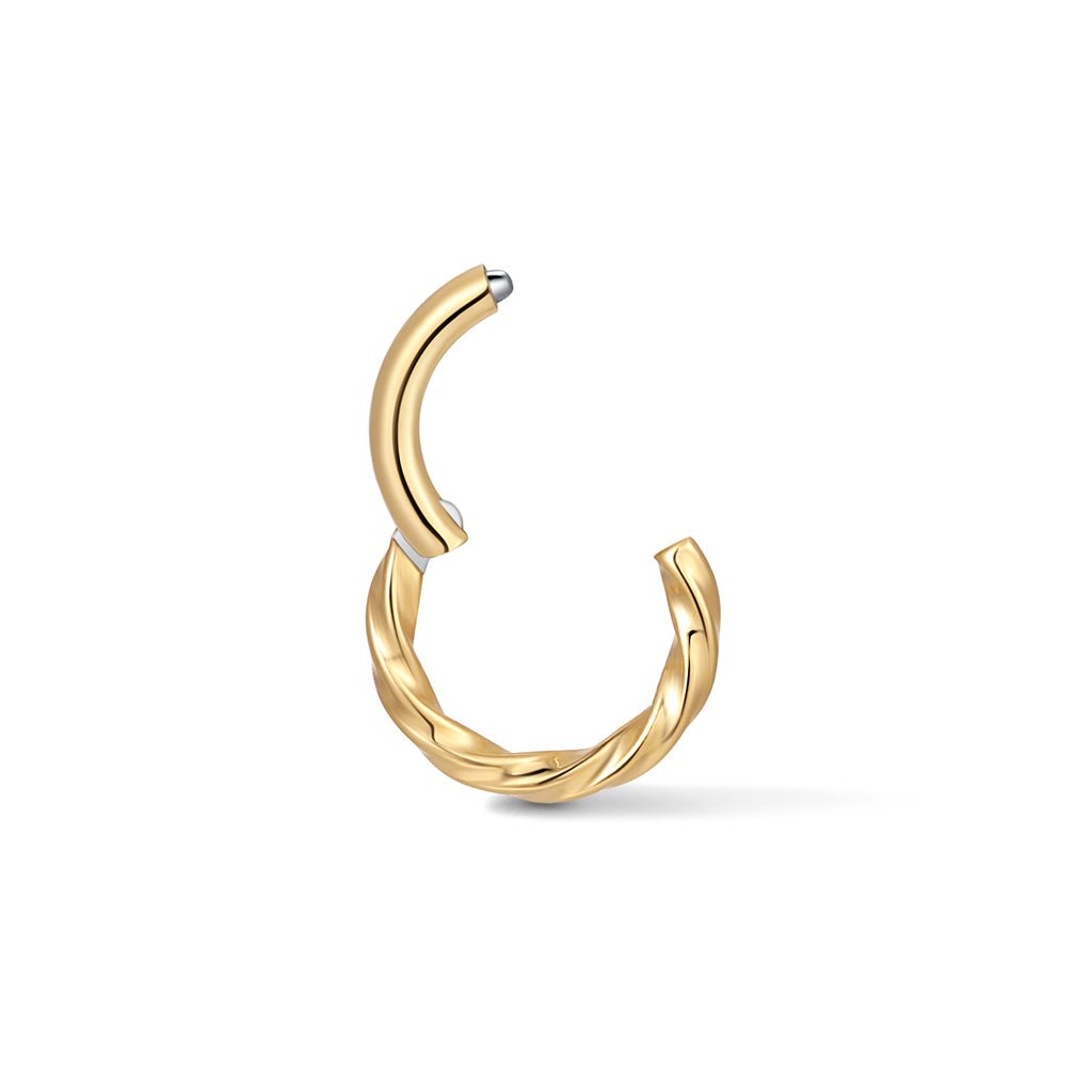 Titanium Twisted Cord Segment Ring - SkinKandy | Body Jewellery & Piercing Online Australia