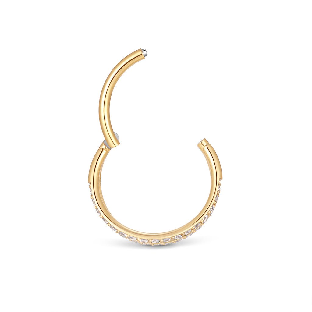 Titanium Double Hoop Cubic Zirconia Segment Ring - SkinKandy | Body Jewellery & Piercing Online Australia