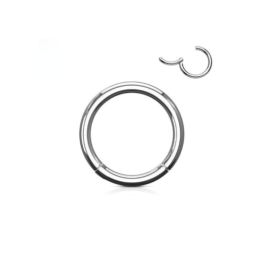316L Surgical Steel Hinged Segment Ring Piercing