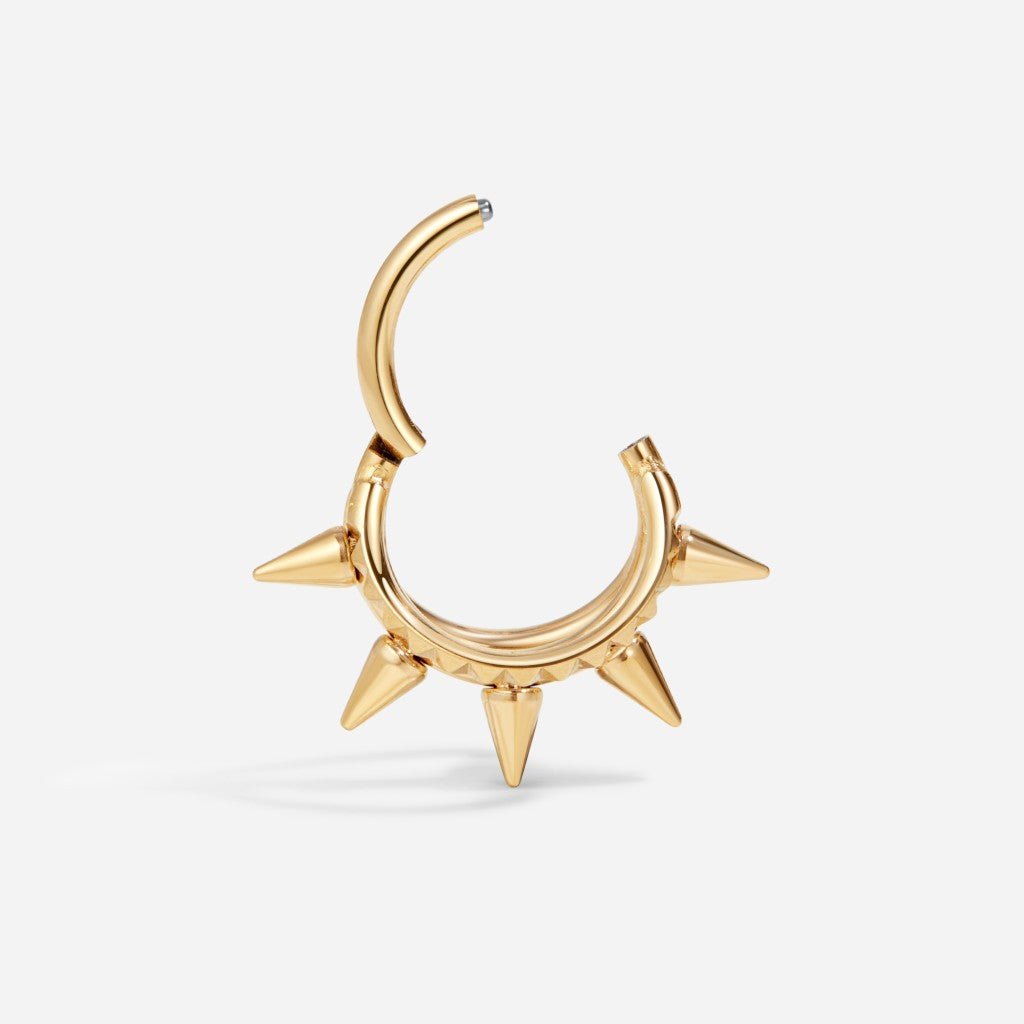 Titanium Triple Alternative Segment Ring - SkinKandy | Body Jewellery & Piercing Online Australia