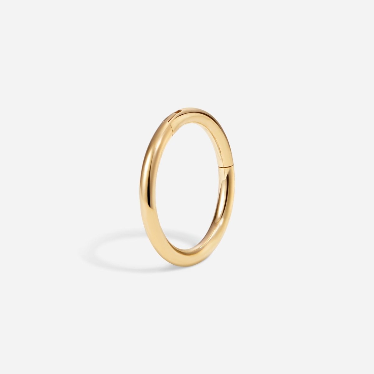 Titanium Classic Segment Ring - SkinKandy | Body Jewellery & Piercing Online Australia