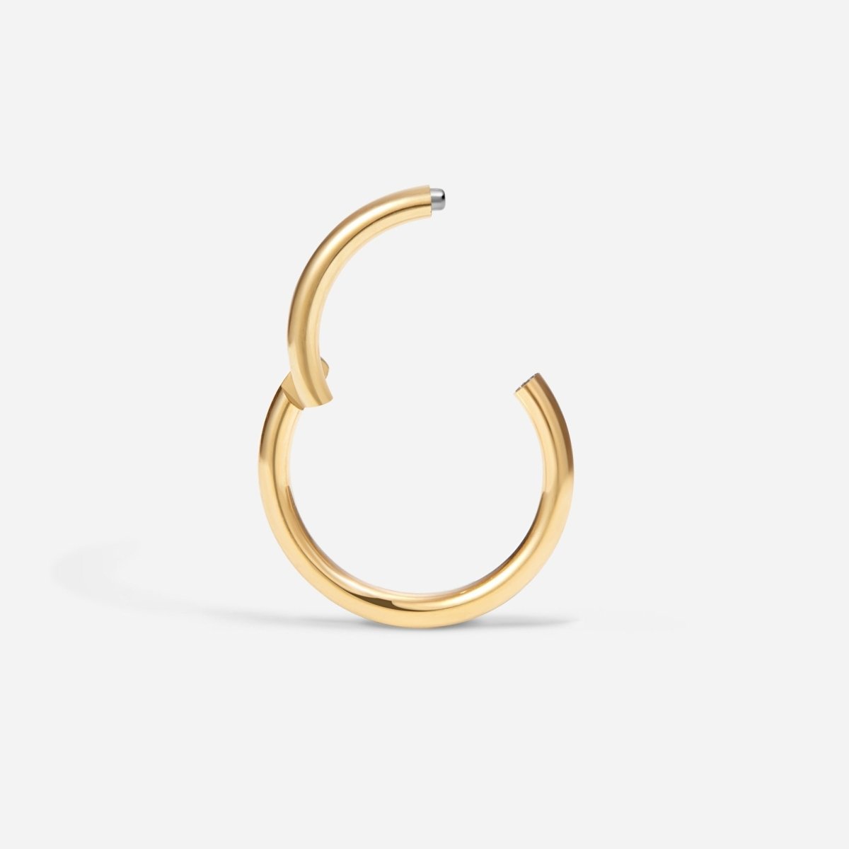 Titanium Classic Segment Ring - SkinKandy | Body Jewellery & Piercing Online Australia