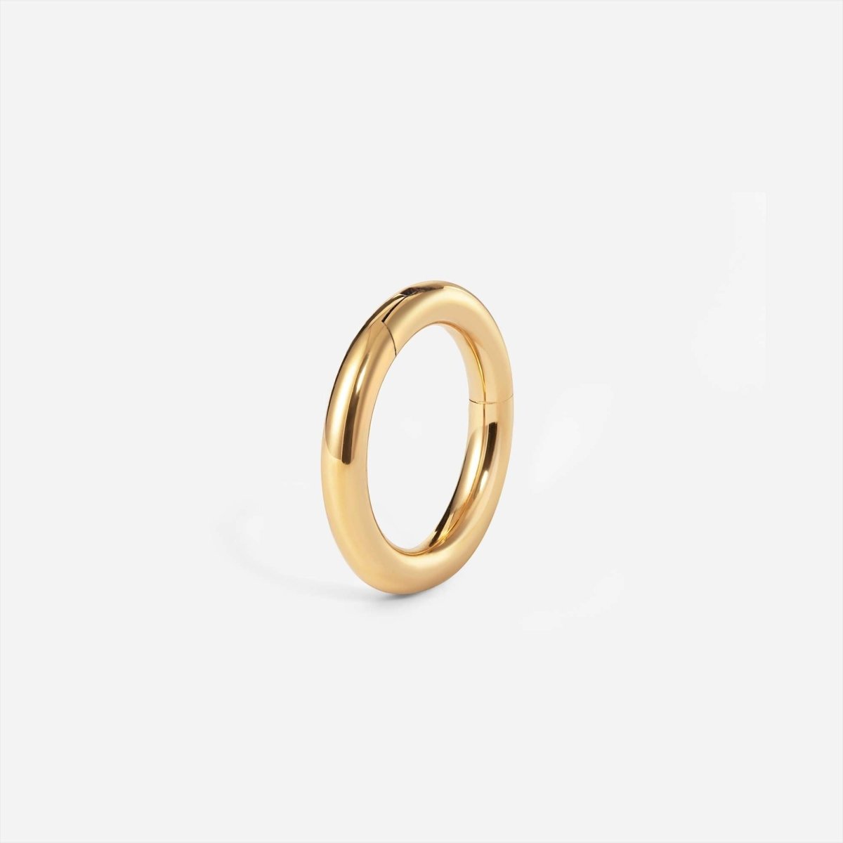 Implant Grade Titanium Hinged Classic Segment Nose Ring - SkinKandy | Body Jewellery & Piercing
