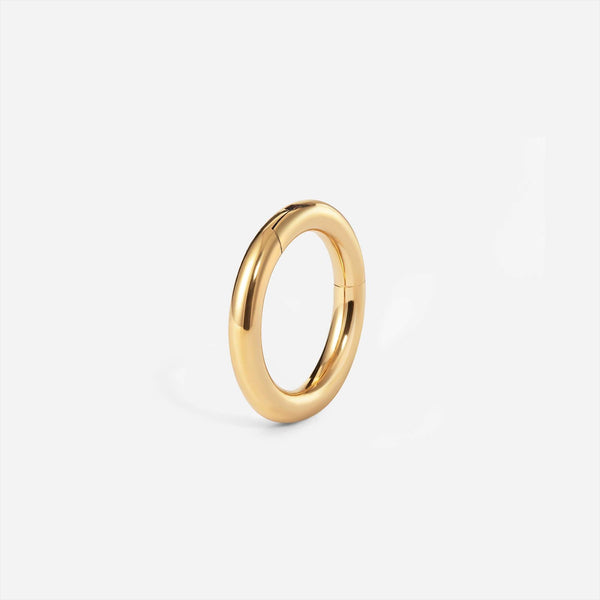 Implant Grade Titanium Hinged Classic Segment Nose Ring