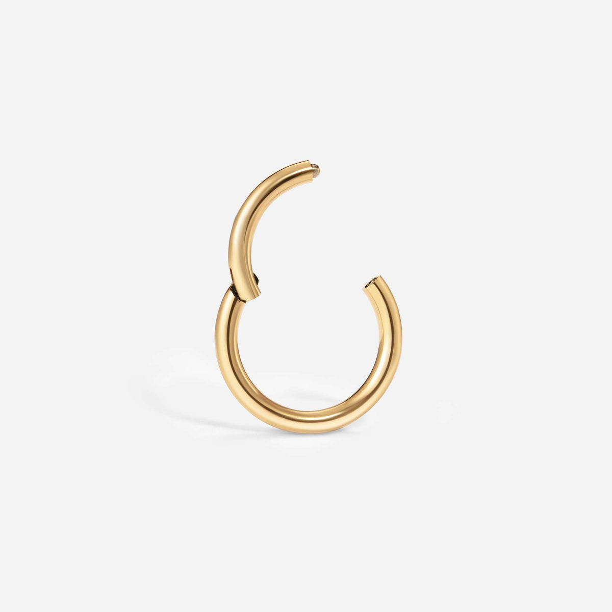 Implant Grade Titanium Hinged Classic Segment Ring – alternate view | SkinKandy Body Jewellery Australia