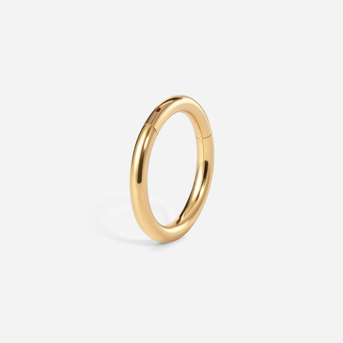 Implant Grade Titanium Hinged Classic Segment Ring – detail view | SkinKandy Body Jewellery Australia