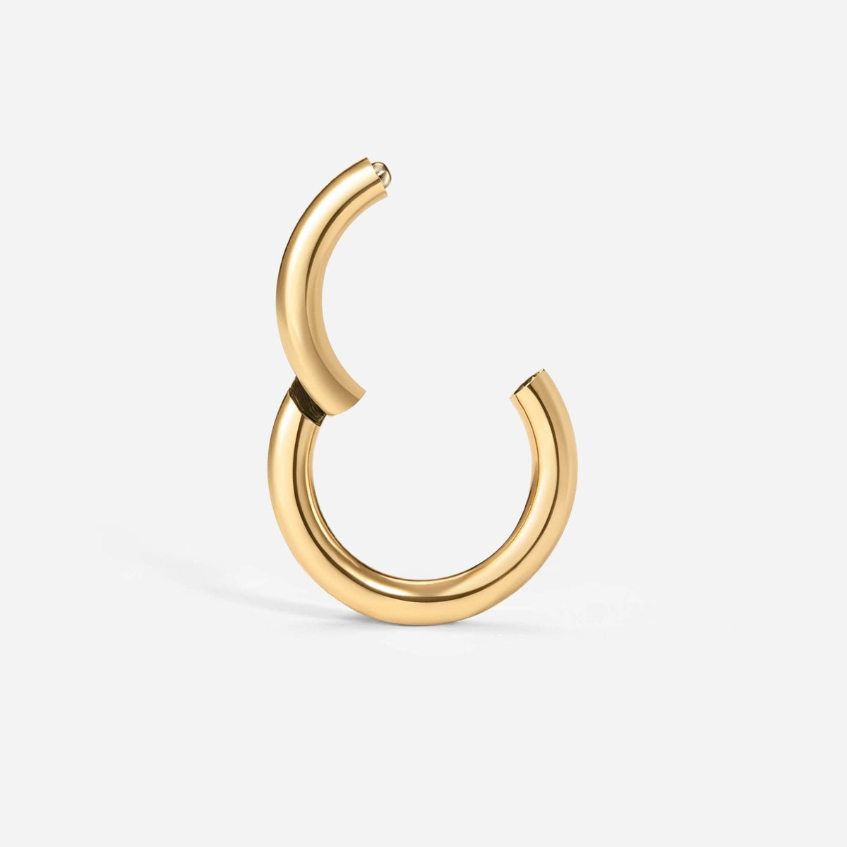 Implant Grade Titanium Hinged Classic Segment Ring – view 4 | SkinKandy Body Jewellery Australia