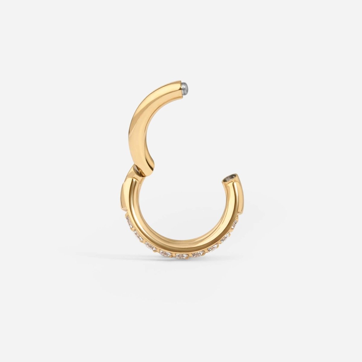 Implant Grade Titanium Hinged Double Hoop Paved Cubic Zirconia Segment Ring - SkinKandy | Body Jewellery & Piercing