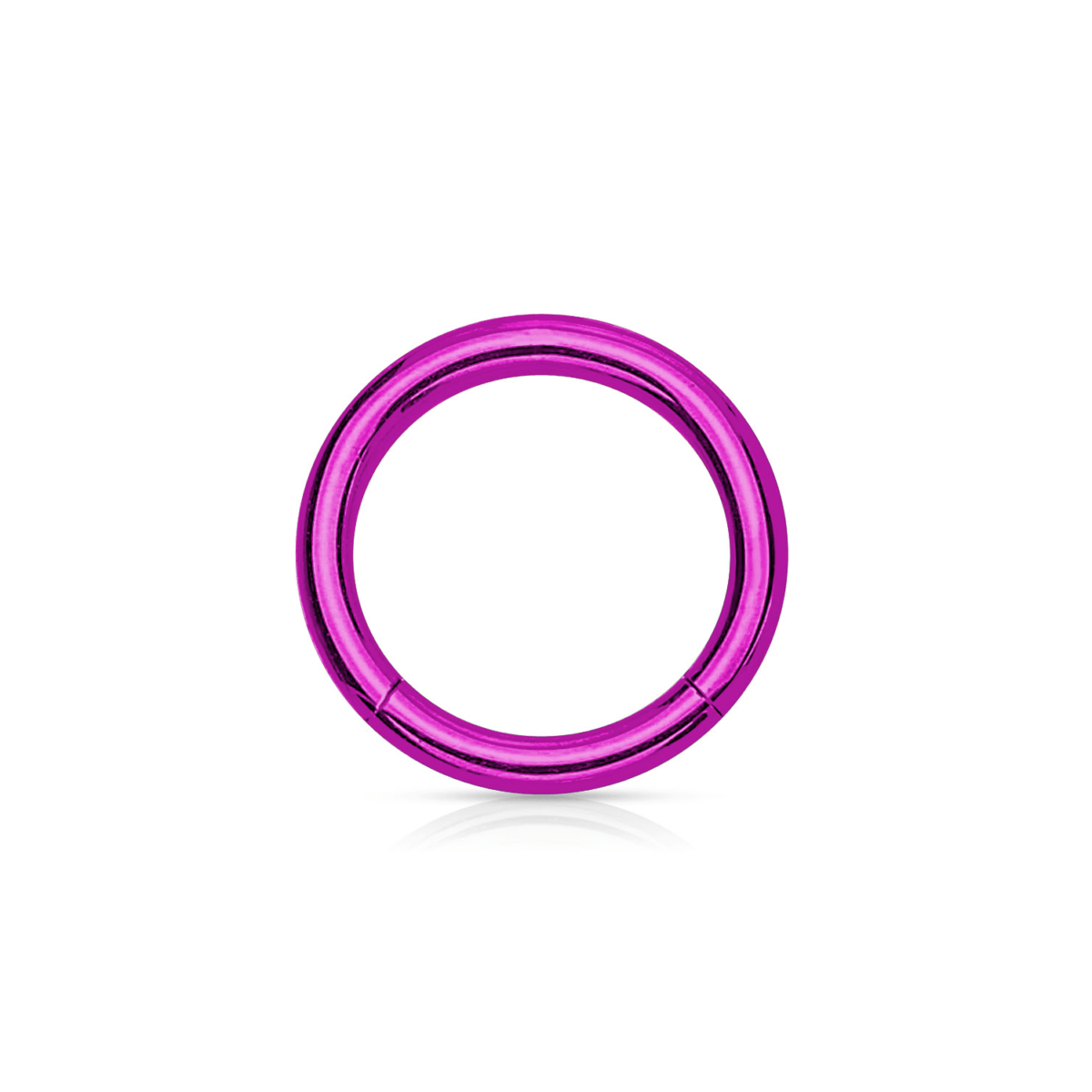 Purple PVD Over Steel Hinged Segment Ring - 14G