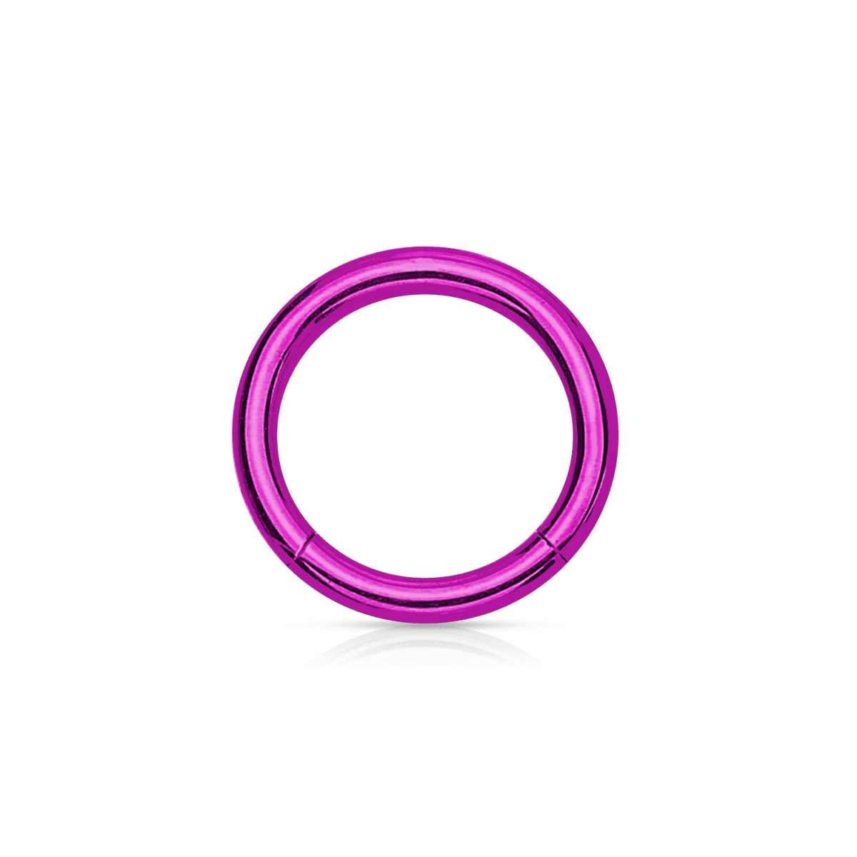 Purple PVD Over Steel Hinged Segment Ring - 14G - SkinKandy | Body Jewellery & Piercing Online Australia