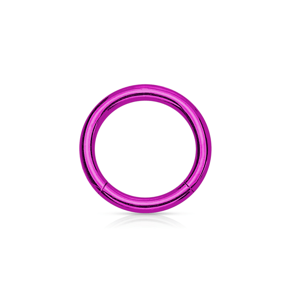 Purple PVD Over Steel Hinged Segment Ring - 14G