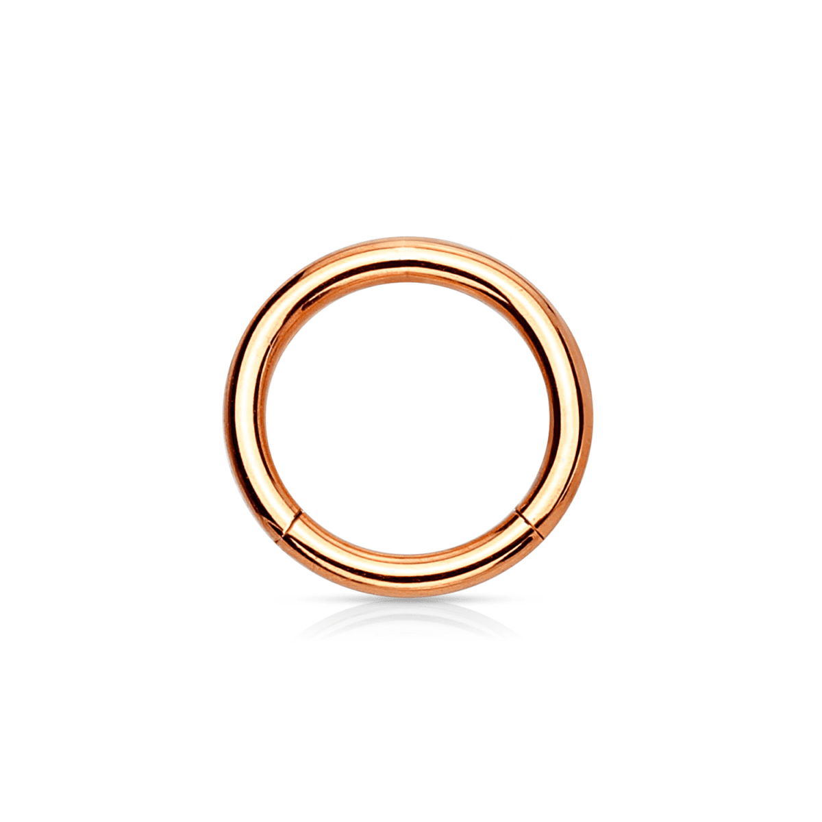 Rose Gold PVD Over Steel Hinged Segment Ring 18G - SkinKandy | Body Jewellery & Piercing